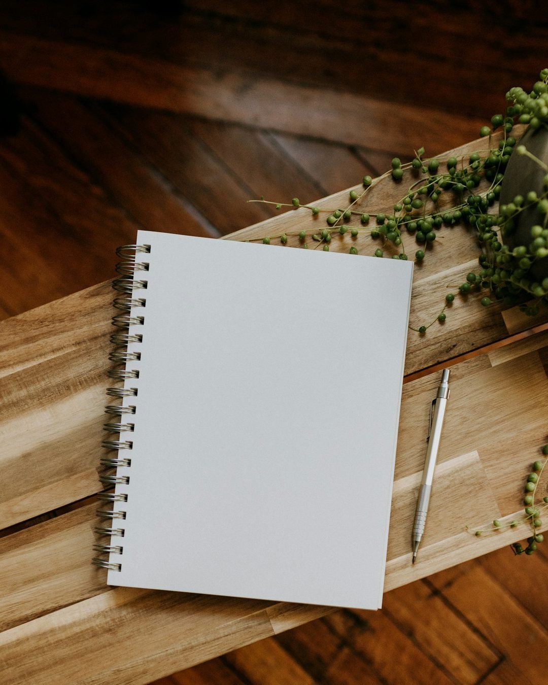 Caderno aberto com lápis, sobre uma mesa de madeira, com uma planta ao lado